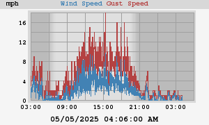 wind